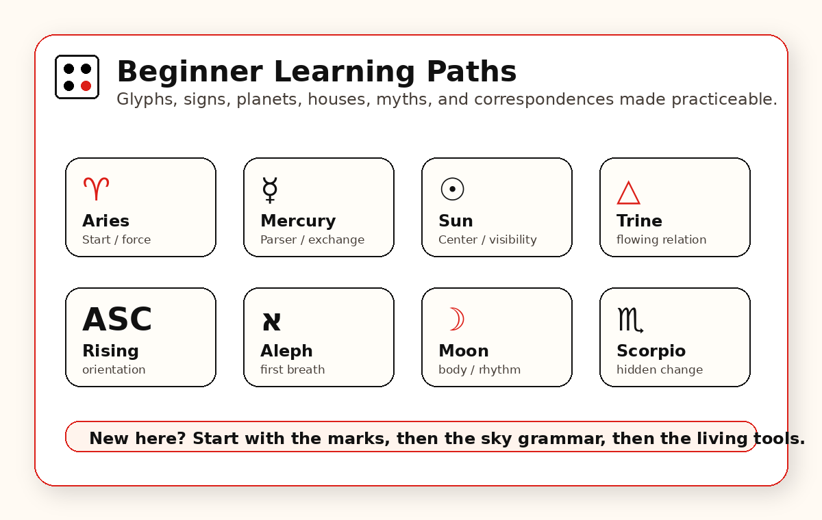 Preview of beginner learning paths